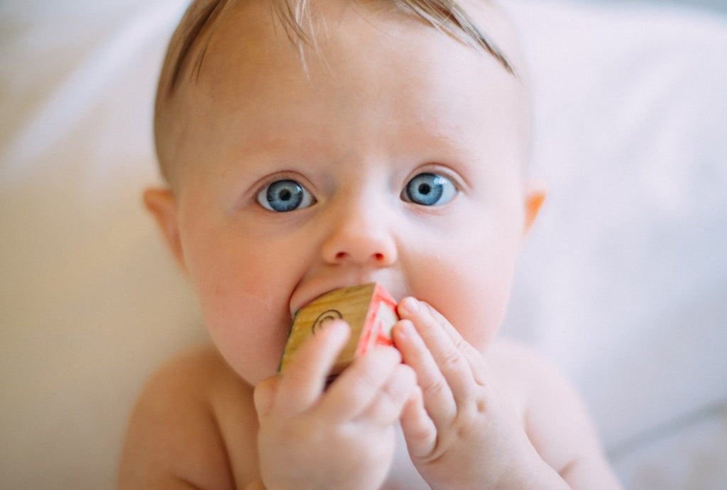 European Baby Formulas: Why They Are The Gold Standard